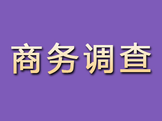 民权商务调查